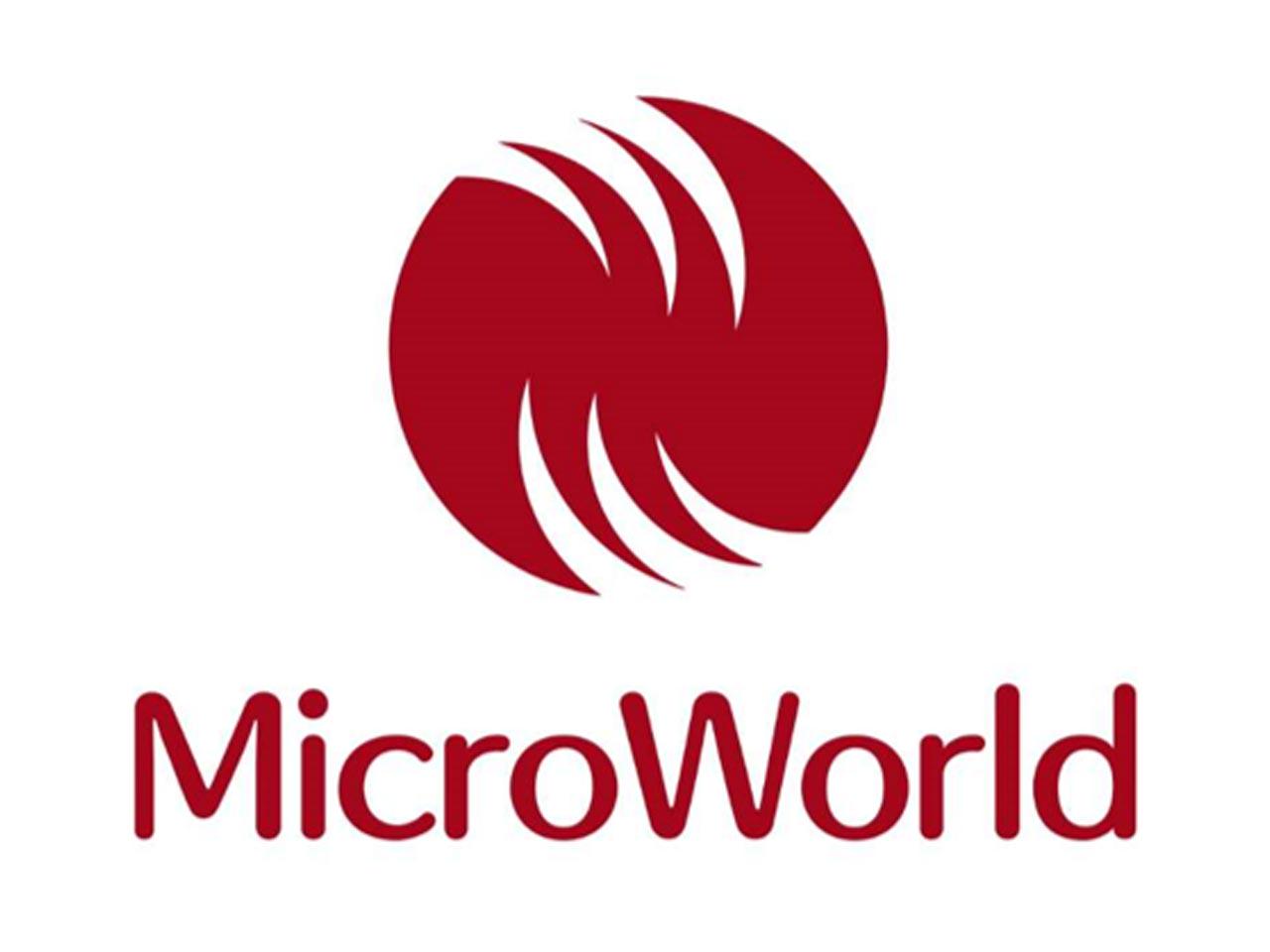 MicroWorld株式会社 求人画像1