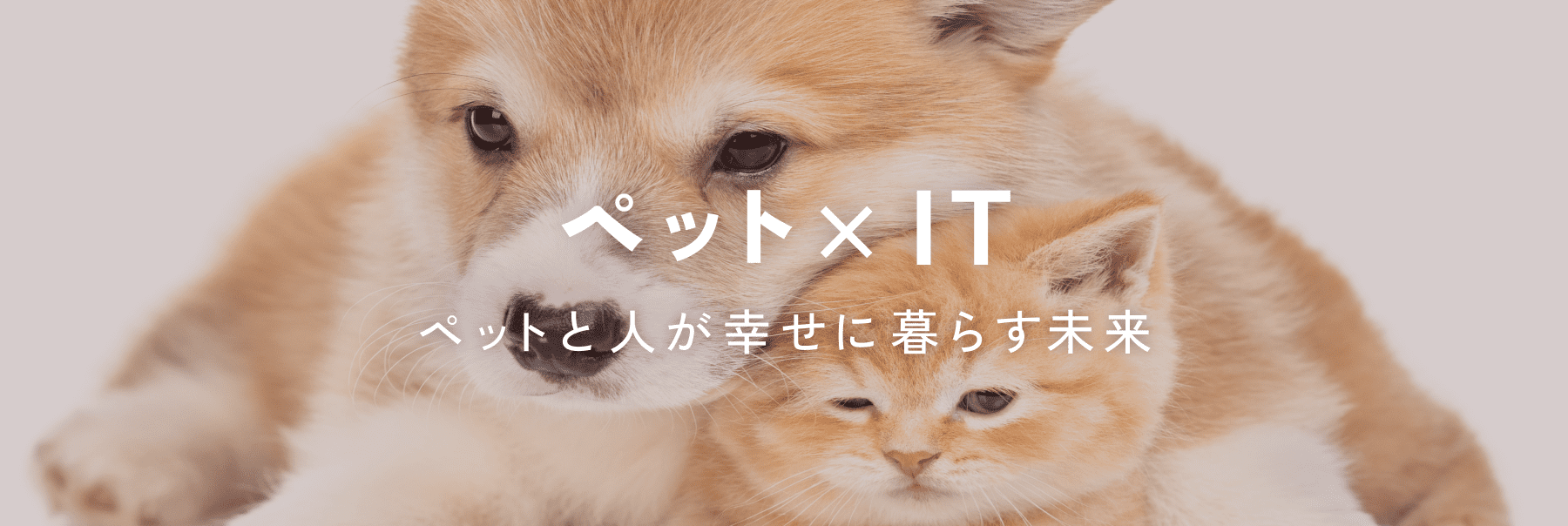 ペット×IT